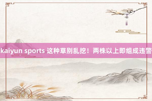 kaiyun sports 这种草别乱挖！两株以上即组成违警