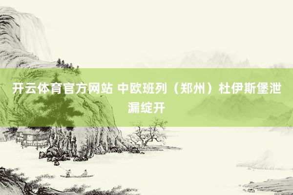 开云体育官方网站 中欧班列（郑州）杜伊斯堡泄漏绽开