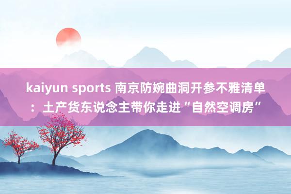 kaiyun sports 南京防婉曲洞开参不雅清单：土产货东说念主带你走进“自然空调房”