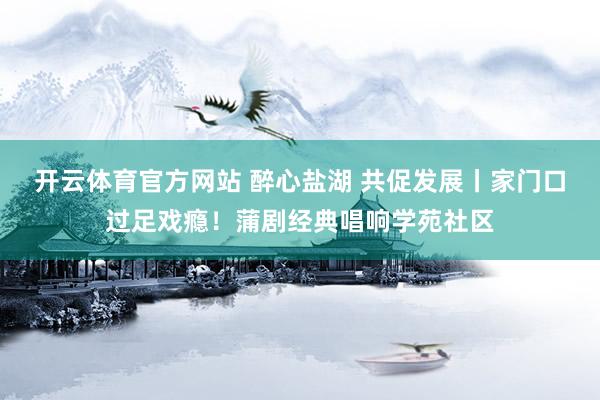 开云体育官方网站 醉心盐湖 共促发展丨家门口过足戏瘾！蒲剧经典唱响学苑社区