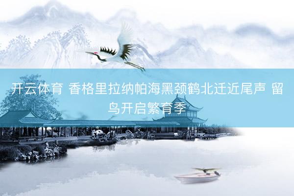 开云体育 香格里拉纳帕海黑颈鹤北迁近尾声 留鸟开启繁育季